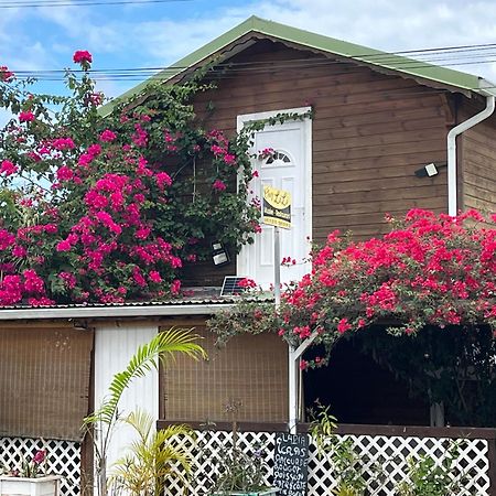 Le Cosy Bungalow De Lili / 5Min De L'Aeroport ليه أبيم المظهر الخارجي الصورة
