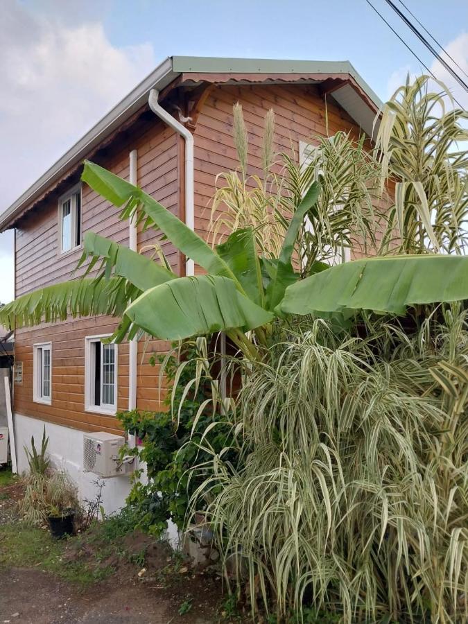 Le Cosy Bungalow De Lili / 5Min De L'Aeroport ليه أبيم المظهر الخارجي الصورة
